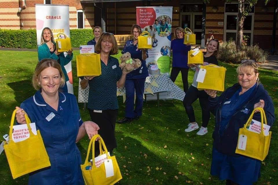 Pathway development support